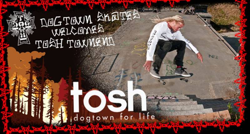 Tosh Townend for Dogtown