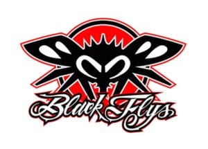 BlackFlys